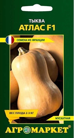 Тыква Атлас F1, 5 шт (Агромаркет)