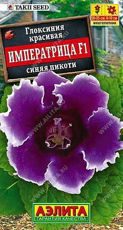 Глоксиния Императрица F1 синяя пикоти, 5 шт Глоксиния Императрица F1 синяя пикоти, 5 шт
