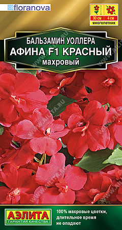 Бальзамин Афина F1 красный махровый, 5 шт (Аэлита)