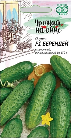 Огурец Берендей F1, 10 шт (ГАВРИШ)