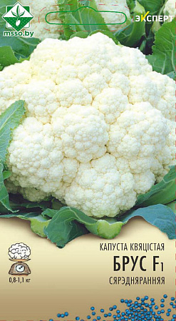 Капуста цветная Брюс F1, 12 шт (Эксперт) (МССО)