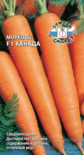 Морковь Канада 100 шт Морковь Канада 100 шт