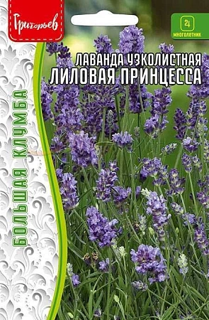 Лаванда Лиловая принцесса узколистная, 30 шт (Ред.сем)