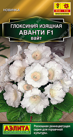Глоксиния Аванти F1 вайт, 5 шт (Аэлита)