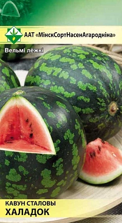 Арбуз Холодок, 1 г (МССО) Арбуз Холодок, 1 г (МССО)