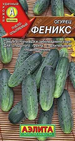 Огурец Феникс, 20 шт (АЭЛИТА)
