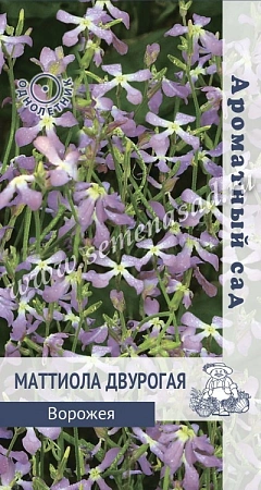 Маттиола двурогая Ворожея 0,3 г Маттиола двурогая Ворожея 0,3 г