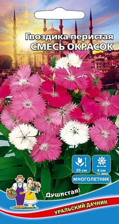 Гвоздика перистая Смесь окрасок 0,2 г Гвоздика перистая Смесь окрасок 0,2 г