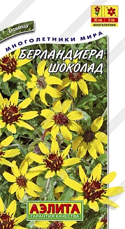 Берландиера Шоколад 5 шт