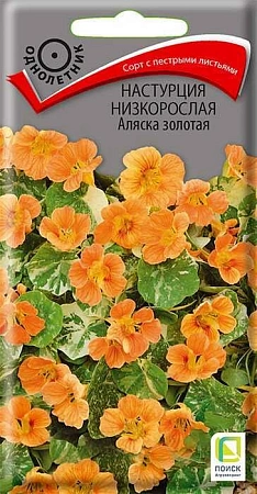 Настурция низкорослая Аляска золотая, 1 г (Поиск)