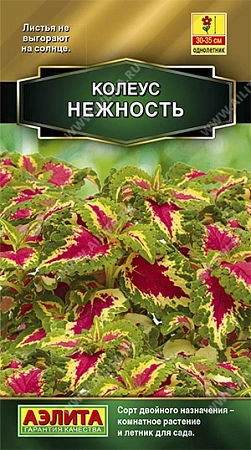 Колеус блюме Нежность, 10 шт (Аэлита) Колеус блюме Нежность, 10 шт (Аэлита)
