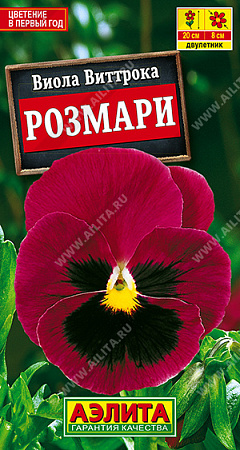 Виола Розмари, 20 шт (Аэлита)