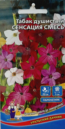Табак душистый Сенсация, смесь (УД)
