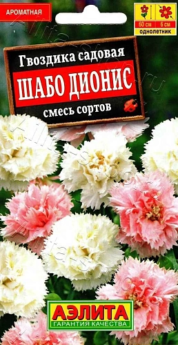 Гвоздика садовая Шабо Дионис 0,1 г (АЭЛИТА) Гвоздика садовая Шабо Дионис 0,1 г (АЭЛИТА)