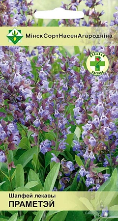 Шалфей лекарственный Прометей 0,2 г (МССО) Шалфей лекарственный Прометей 0,2 г (МССО)