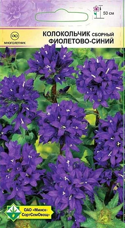 Колокольчик сборный Фиолетово-синий 0,05 г (МССО) Колокольчик сборный Фиолетово-синий 0,05 г (МССО)