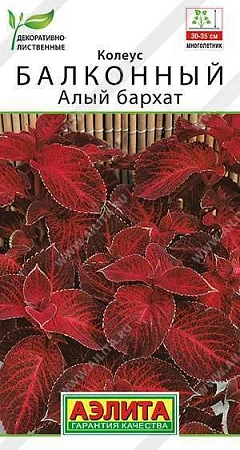 Колеус Алый бархат, 5 шт (АЭЛИТА) Колеус Алый бархат, 5 шт (АЭЛИТА)