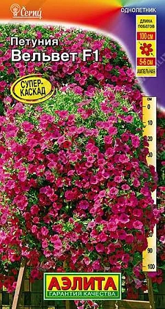 Петуния Вельвет F1 ампельная, 5 шт Петуния Вельвет F1 ампельная, 5 шт