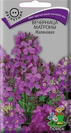 Вечерница Матроны Малиновая 0,3 г (Поиск)