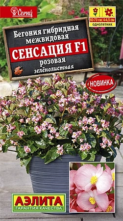 Бегония Сенсация F1 розовая зеленолистная, 7 шт (Аэлита) Бегония Сенсация F1 розовая зеленолистная, 7 шт (Аэлита)