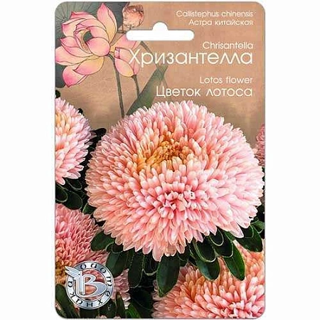 Астра китайская Хризантелла Цветок лотоса, 30 шт (Биотехника) Астра китайская Хризантелла Цветок лотоса, 30 шт (Биотехника)
