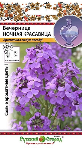 Вечерница Ночная Красавица 0,3 г (Поиск) Вечерница Ночная Красавица 0,3 г (Поиск)