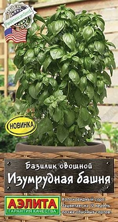 Базилик овощной Изумрудная башня, 10 шт (АЭЛИТА)