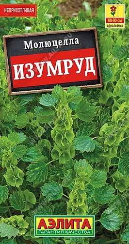 Молюцелла Изумруд Молюцелла Изумруд