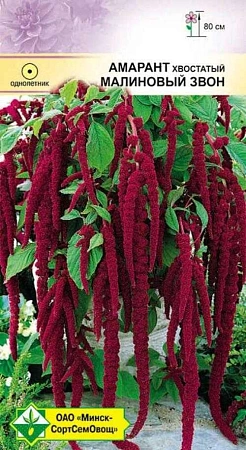 Амарант Малиновый звон хвостатый, 0,5 г (МССО) Амарант Малиновый звон хвостатый, 0,5 г (МССО)