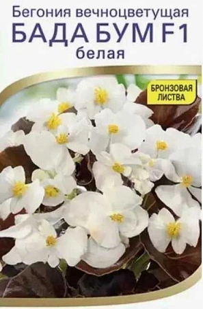 Бегония Бада бум F1 белая, 5 шт (Аэлита)