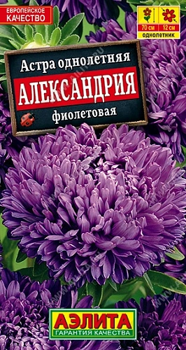 Астра Александрия фиолетовая 0,1 г Астра Александрия фиолетовая 0,1 г