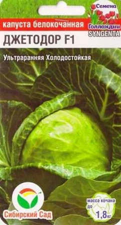 Капуста белокочанная Джетодор F1, 10 шт