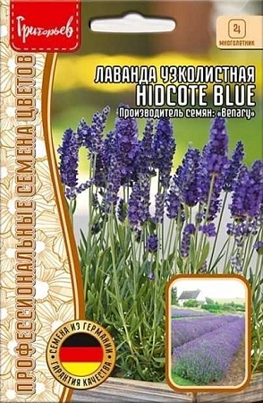 Лаванда узколистная Hidcote Blue, 10 шт (Ред.Сем)