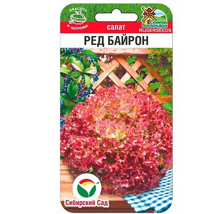Салат Ред Байрон 20шт (Сиб Сад)