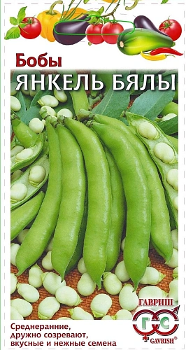 Бобы Янкель Бялы, 10 шт Бобы Янкель Бялы, 10 шт