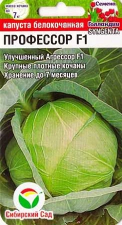 Капуста белокочанная Профессор F1, 10 шт