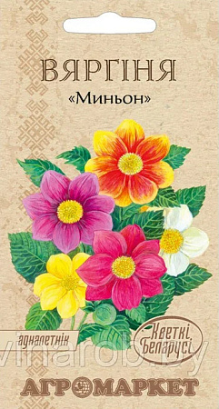 Георгина Миньон, 0,5 г (Агромаркет) Георгина Миньон, 0,5 г (Агромаркет)