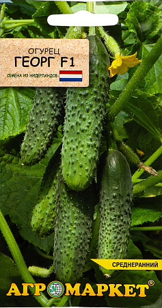Огурец Георг F1, 10 шт (Агромаркет)
