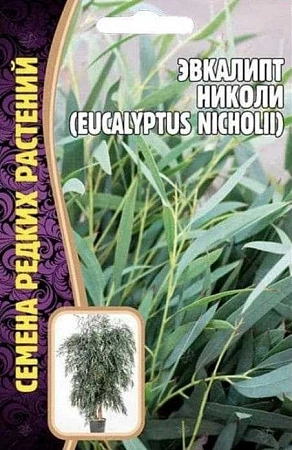Эвкалипт Николи 0,01 г (Ред сем)