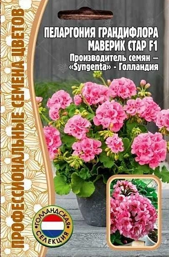 Пеларгония Грандифлора Маверик Стар F1, 3 шт (Ред.сем) Пеларгония Грандифлора Маверик Стар F1, 3 шт (Ред.сем)