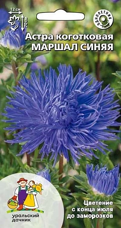 Астра Маршал синяя коготковая (УД) Астра Маршал синяя коготковая (УД)