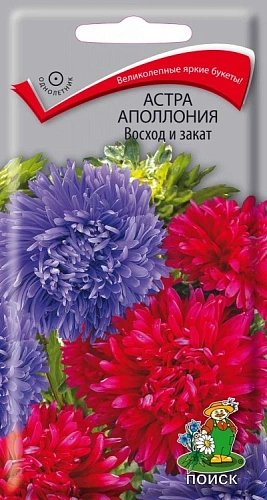 Астра Аполлония Восход и закат 0,3 г Астра Аполлония Восход и закат 0,3 г