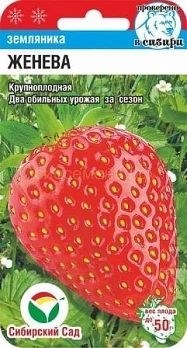 Земляника Женева, 10 шт (Сиб Сад) Земляника Женева, 10 шт (Сиб Сад)