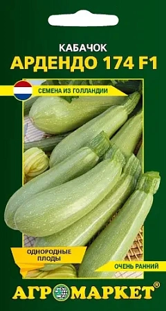 Кабачок Ардендо 174 F1, 5 шт (Агромаркет) Кабачок Ардендо 174 F1, 5 шт (Агромаркет)