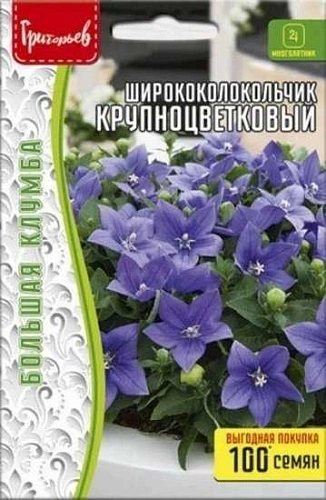 Ширококолокольчик крупноцветковый многолетник, 0,13 г (Ред.Сем) Ширококолокольчик крупноцветковый многолетник, 0,13 г (Ред.Сем)