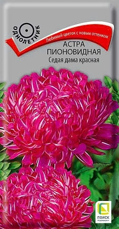 Астра пионовидная Седая дама красная 0,3 г (Поиск)