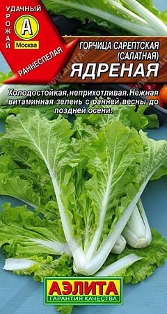 Горчица салатная Ядреная 0,5 г