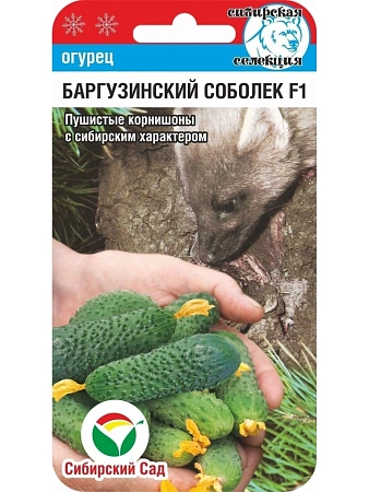 Огурец Баргузинский соболек F1, 7 шт (Сиб Сад)