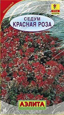 Седум Красная роза 0,02 г (АЭЛИТА) Седум Красная роза 0,02 г (АЭЛИТА)