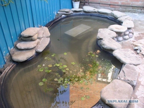 Пруд 640 л. 2550х1400х650мм Пруд 640 л. 2550х1400х650мм